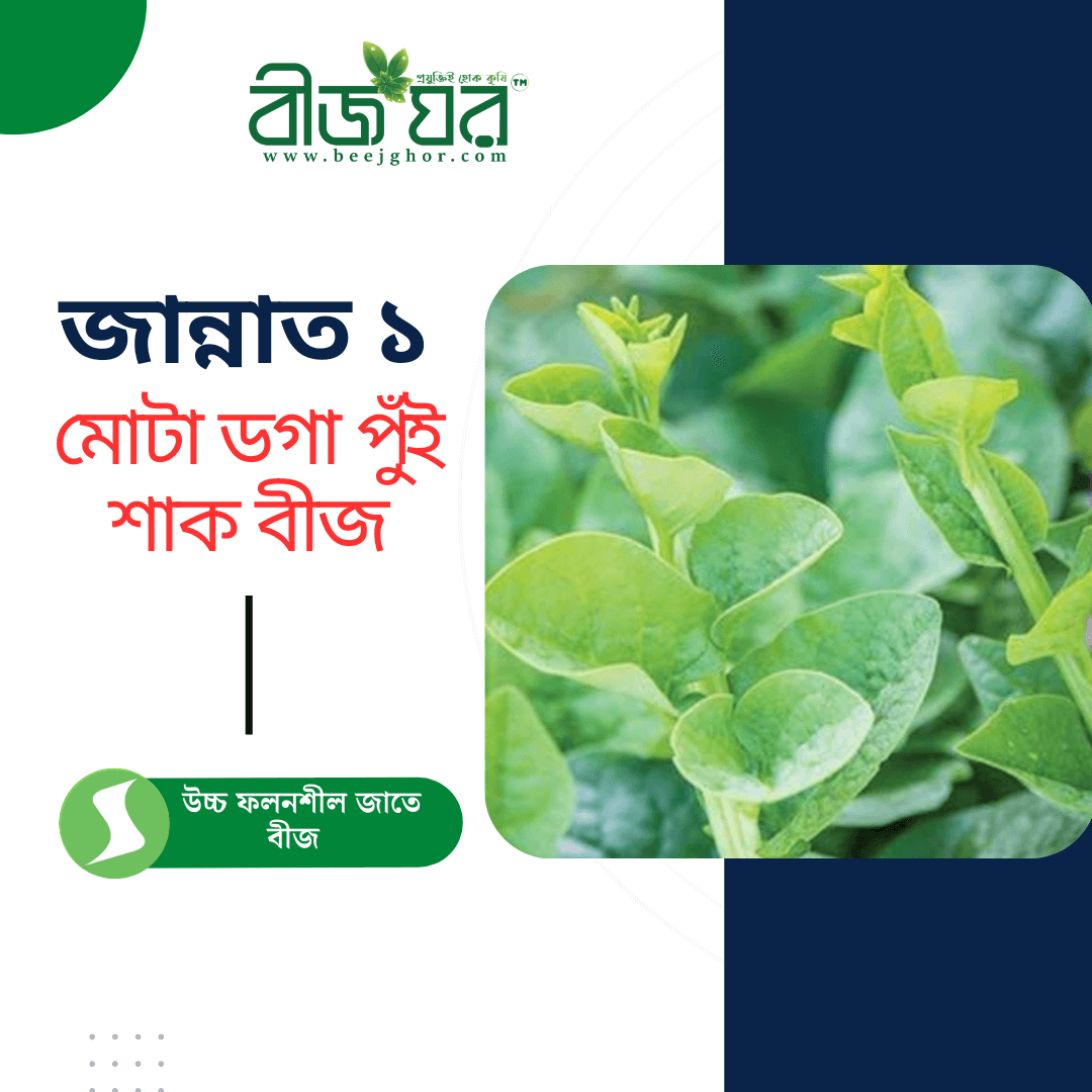 জান্নাত-১ মোটা ডগা পুঁই শাক বীজ