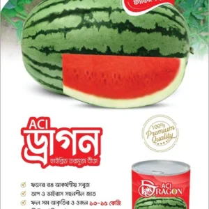 হাইব্রিড তরমুজ-ড্রাগন। এ সি আই সীড। Hybrid Watermelon-Dragon