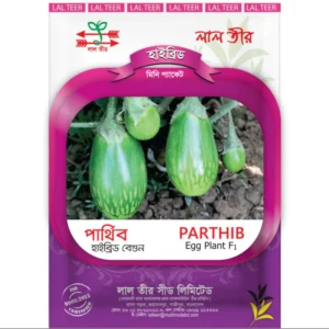 হাইব্রিড বেগুন বীজ-পার্থিব | Hybrid Egg Plant Seed-Parthib