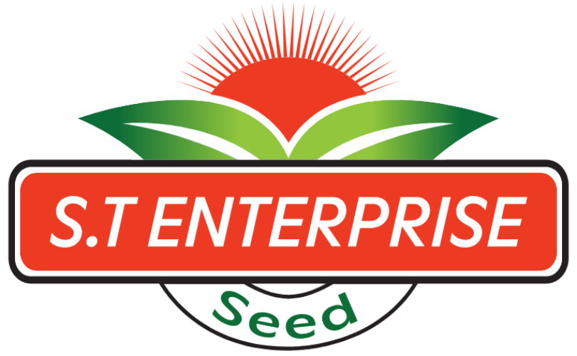 ST-SEED-Logo-