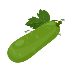 সবজি বীজ